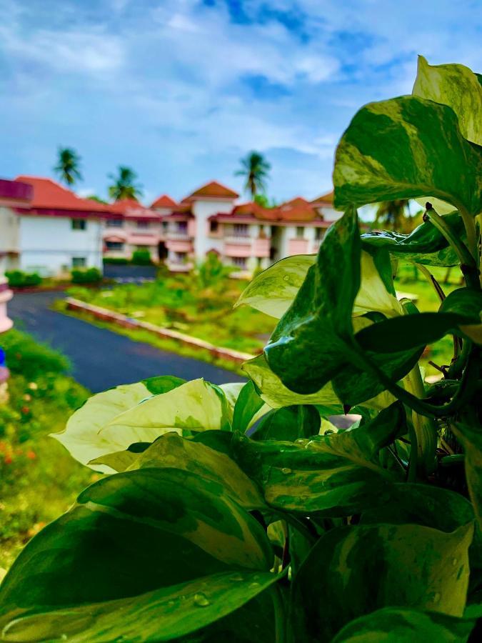 By The Beach Goa Apartment