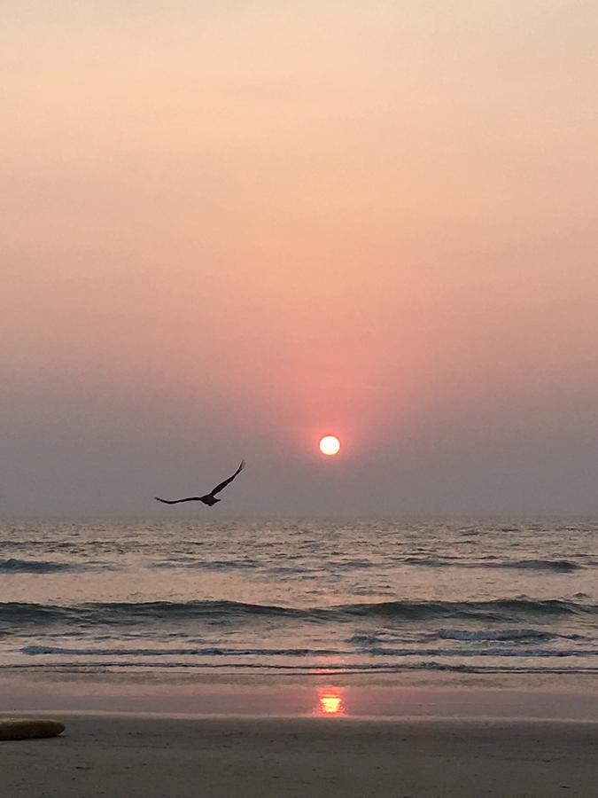 By The Beach Goa